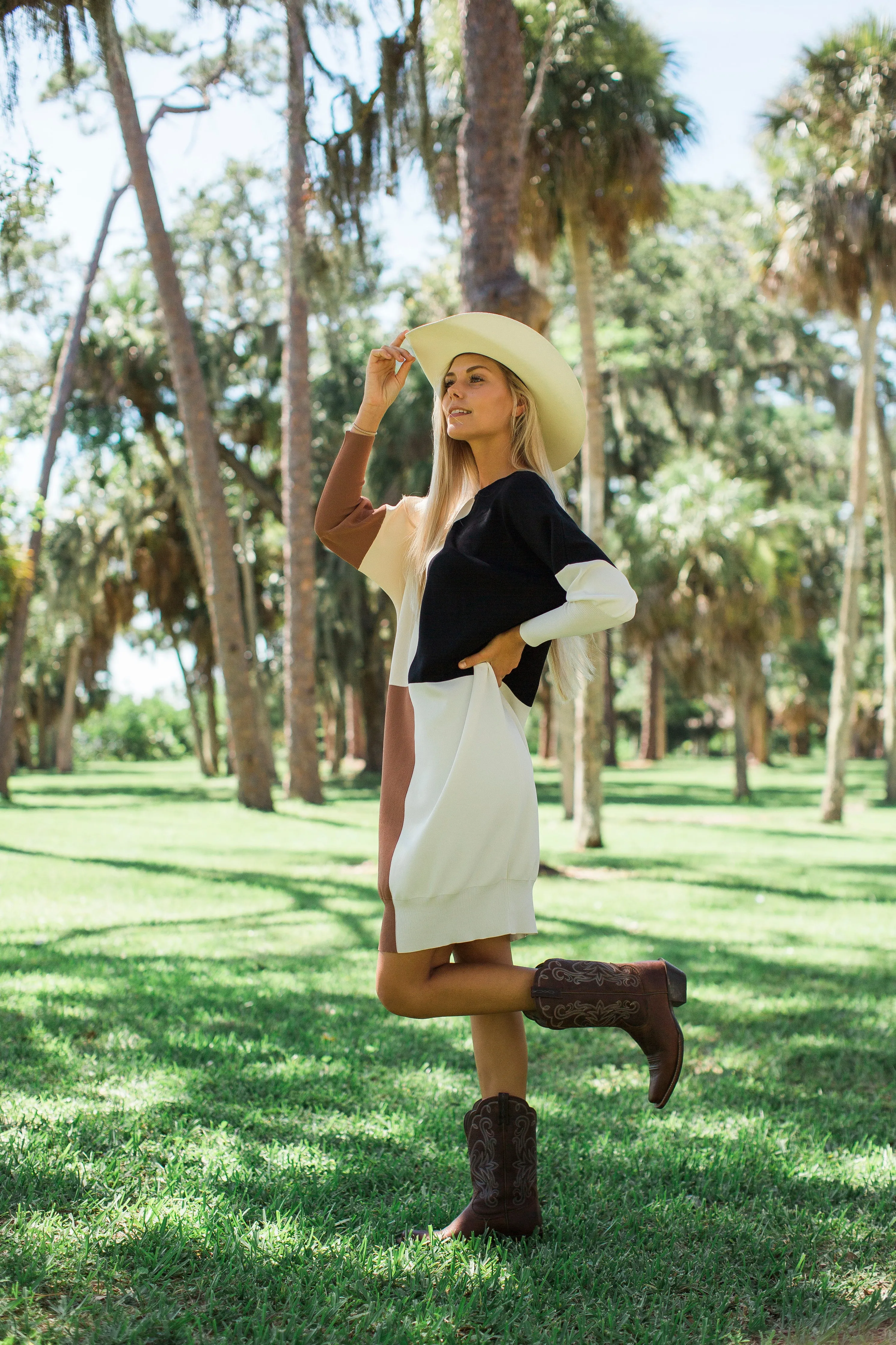 Color Block Dress