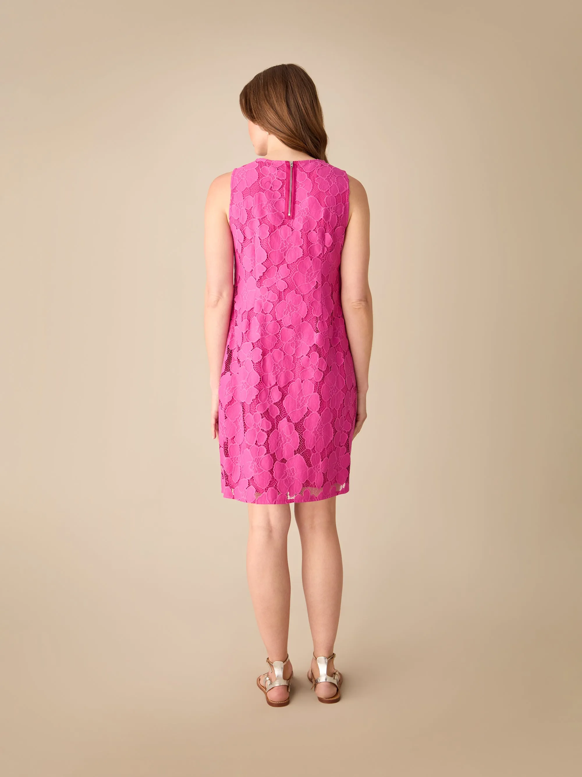 Petite Pink Lace Mini Shift Dress